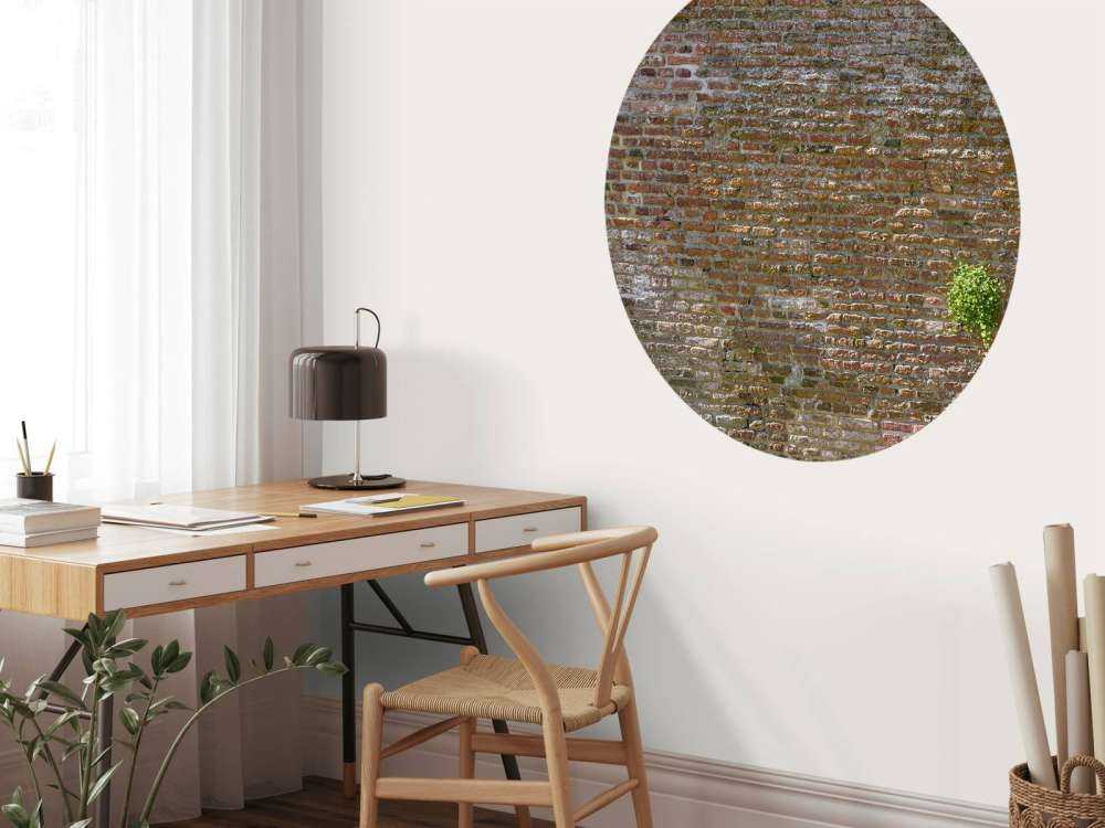 Oude stenen stadsmuur met plantjes