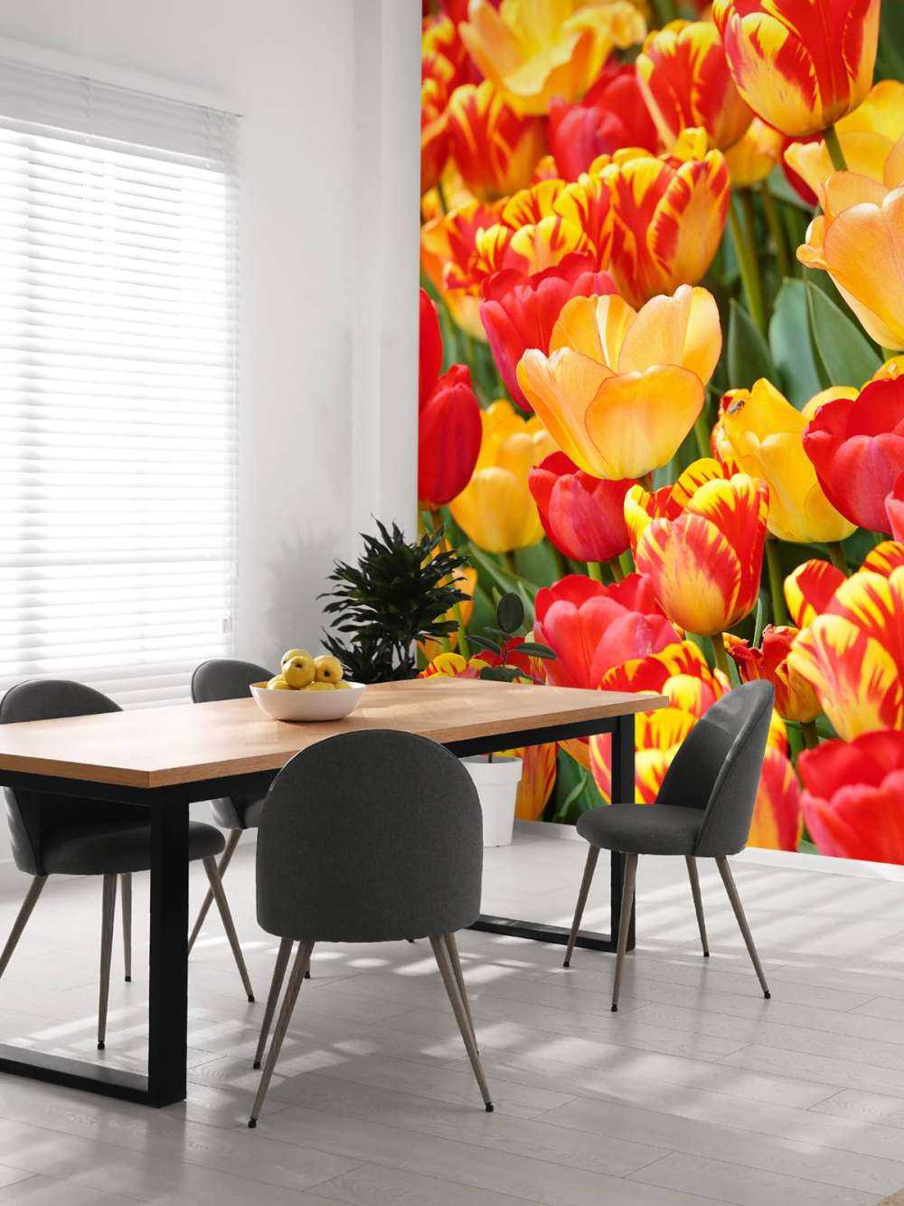 Gekleurde tulpen