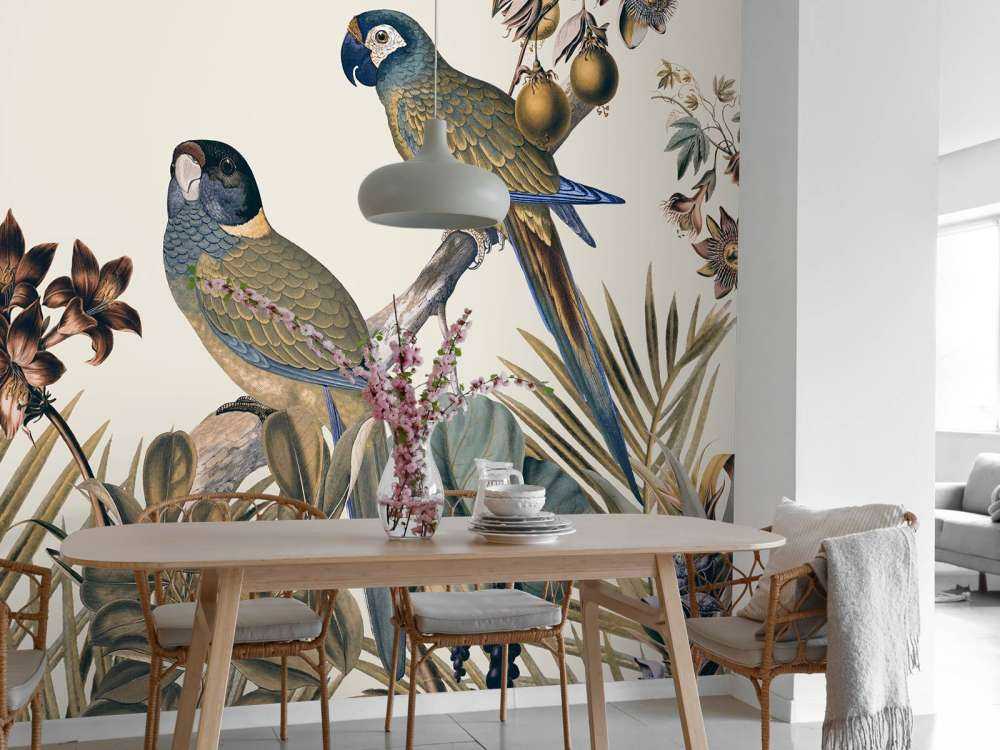 Jungle vibes parrots island