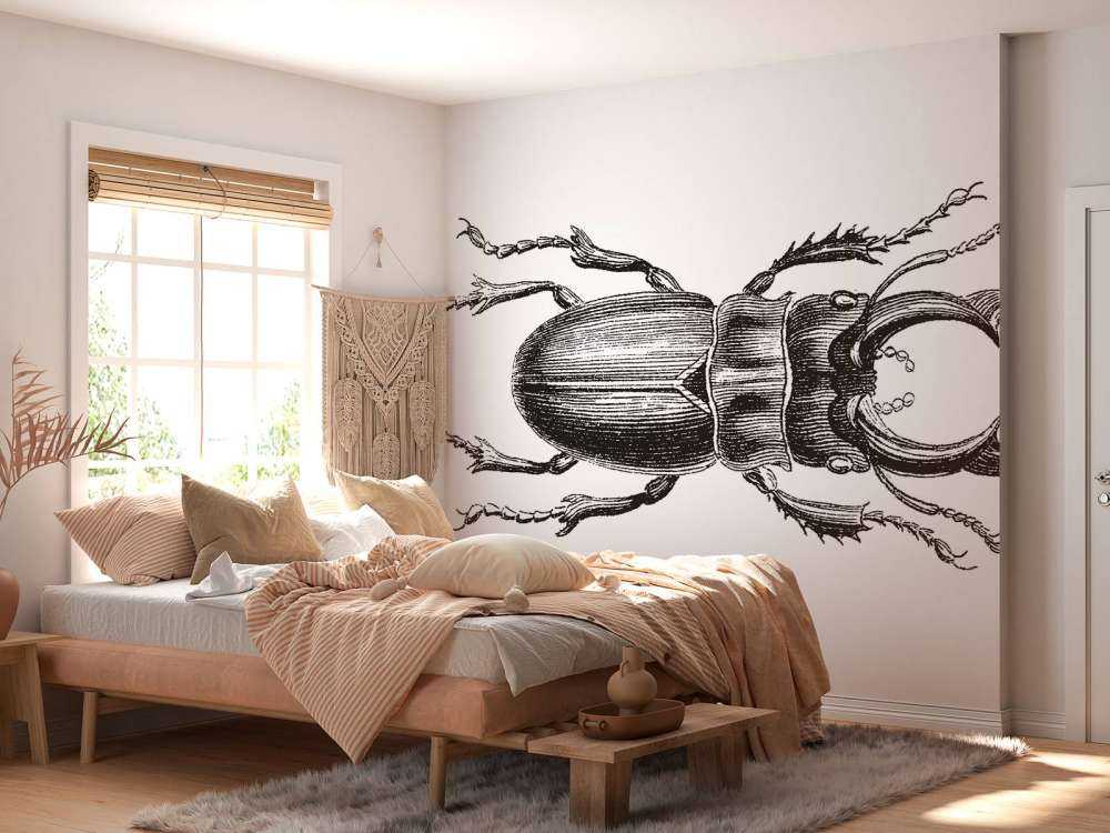 Stag beetle drawing