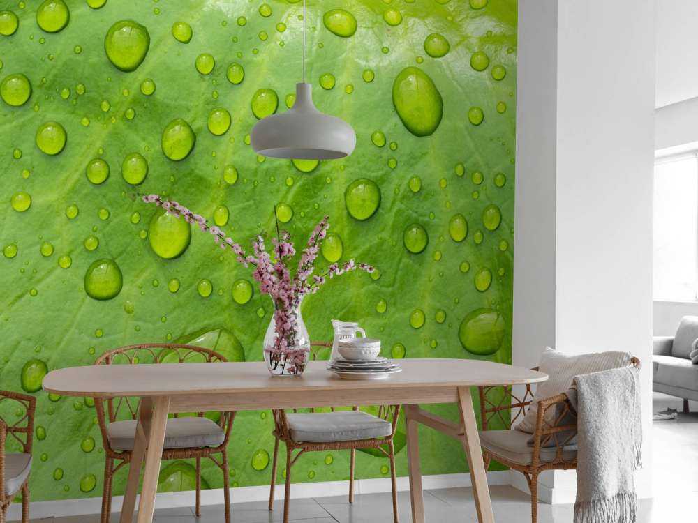 Blad met waterdruppels