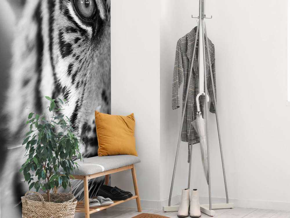 Mooie tijger in zwart-wit