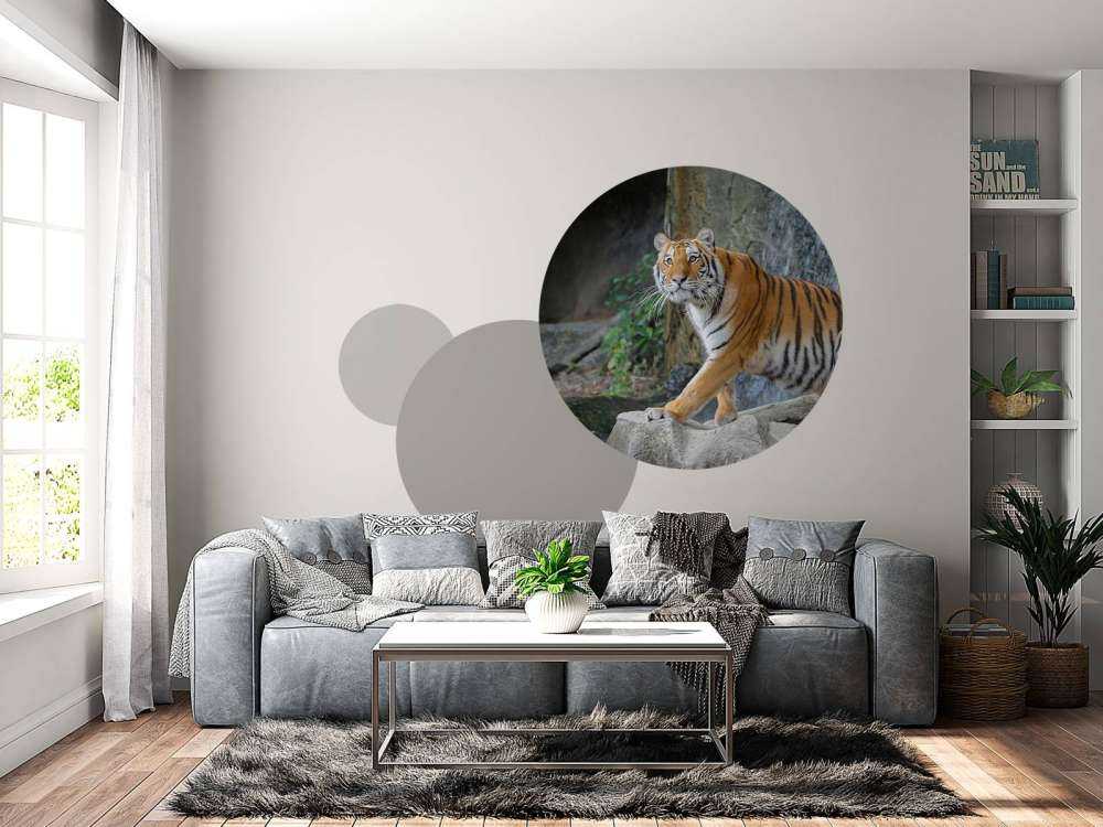 Een grote Sumatraanse tijger