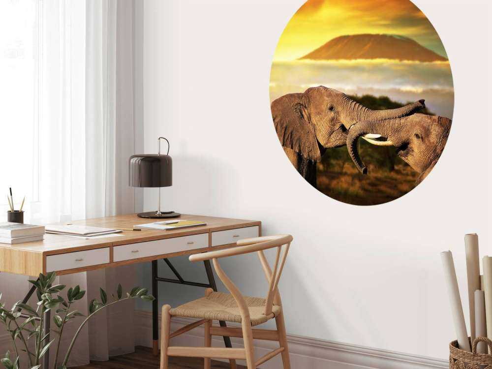 Olifanten spelen bij zonsondergang