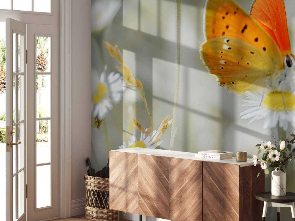 Madeliefjes en oranje vlinder