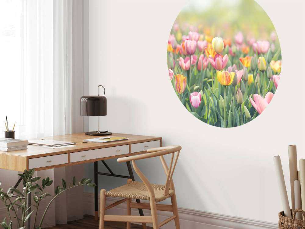 Kleurrijke tulpen