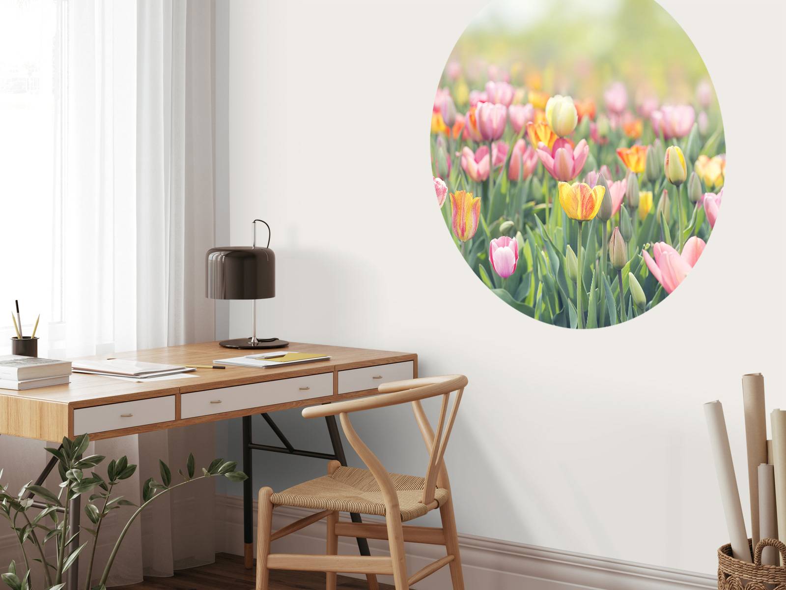 Kleurrijke tulpen