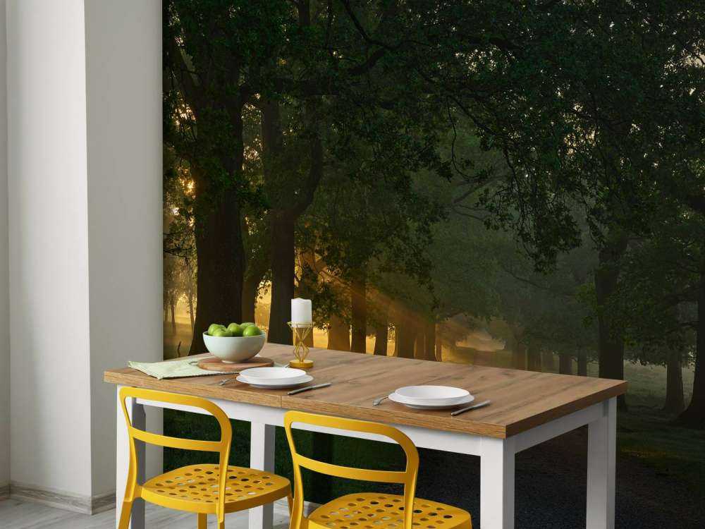 Oneindig pad met bomen