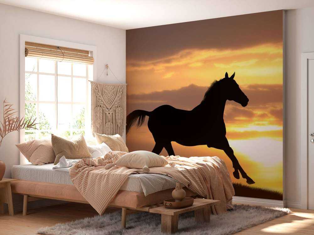 Paard tijdens Zonsondergang