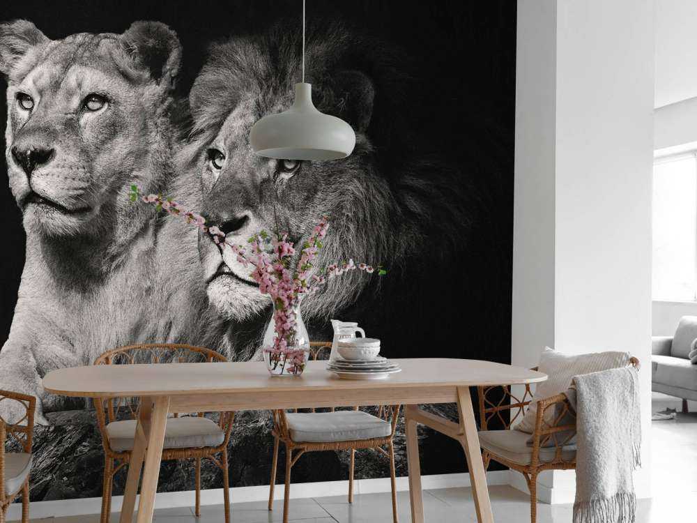 Leeuw & Leeuwin Zwart-Wit