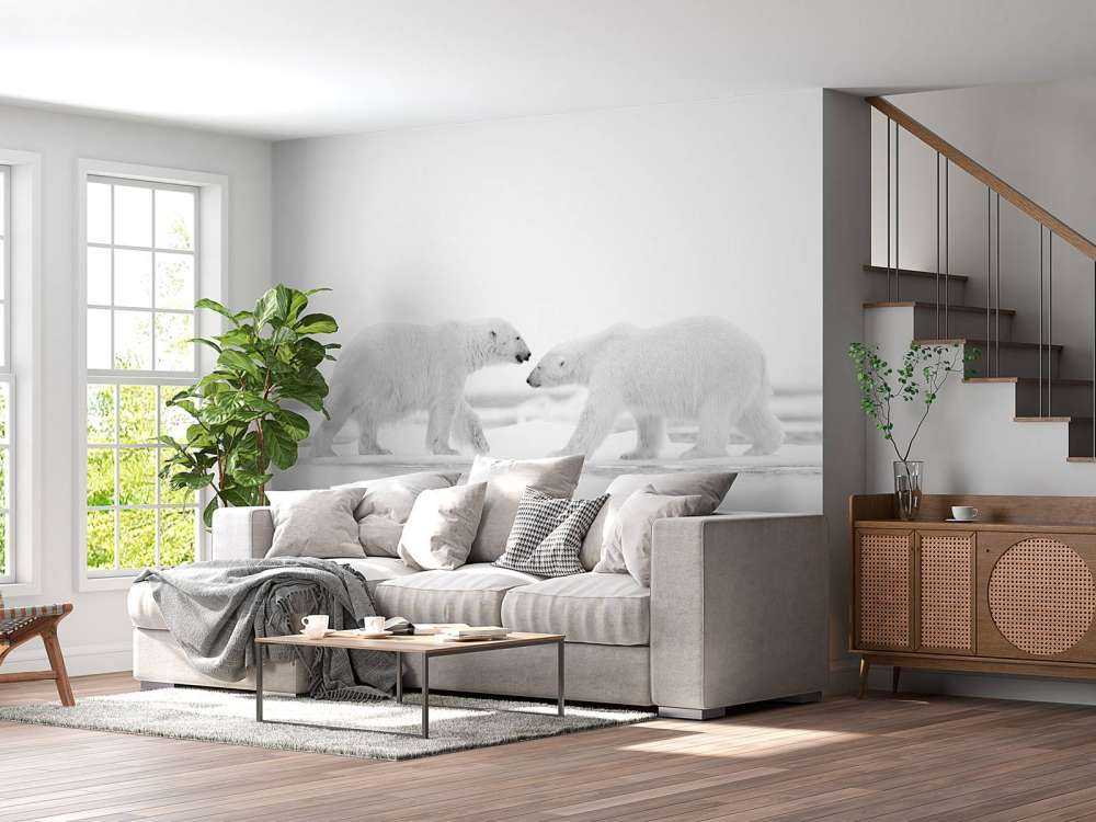 Twee grote ijsberen met een witte achtergrond