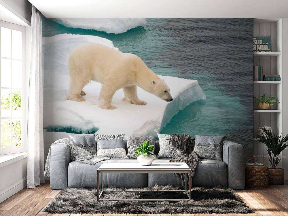 Een ijsbeer observeert de zee