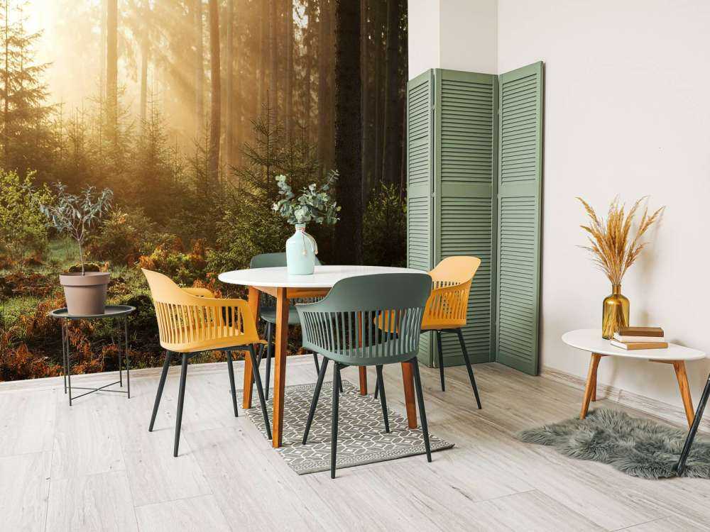 Zonnestralen door het bos