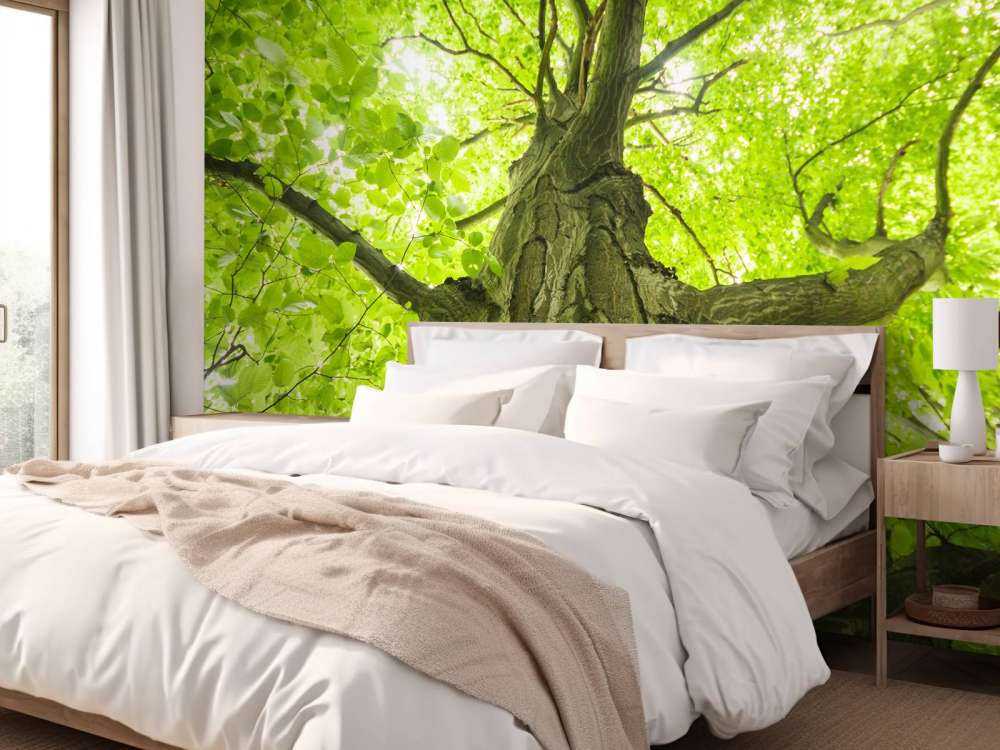 Oude Groene Boom tijdens Zonnige Dag