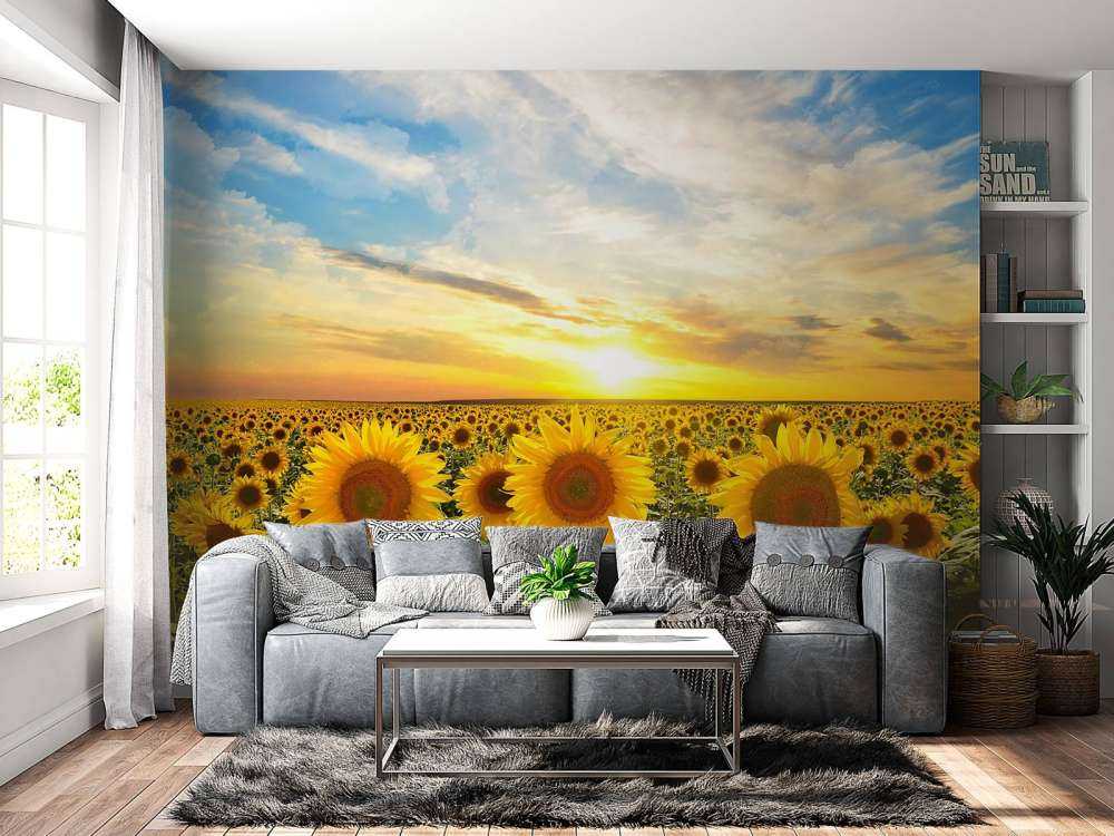 Zonnebloemen bij zonsopkomst