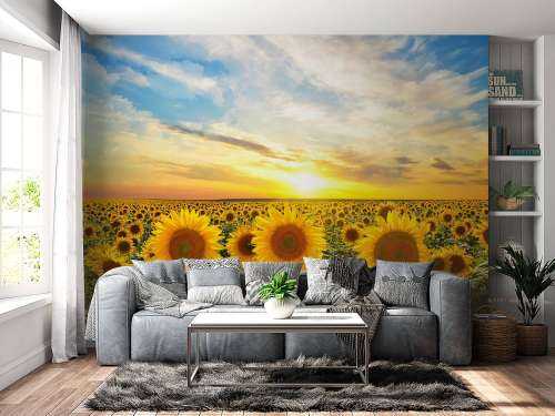 Zonnebloemen bij zonsopkomst