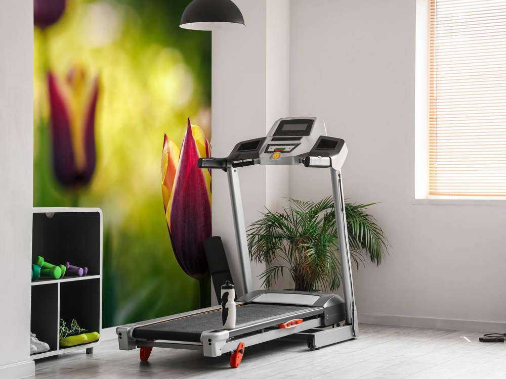 Rood-gele tulpen close-up