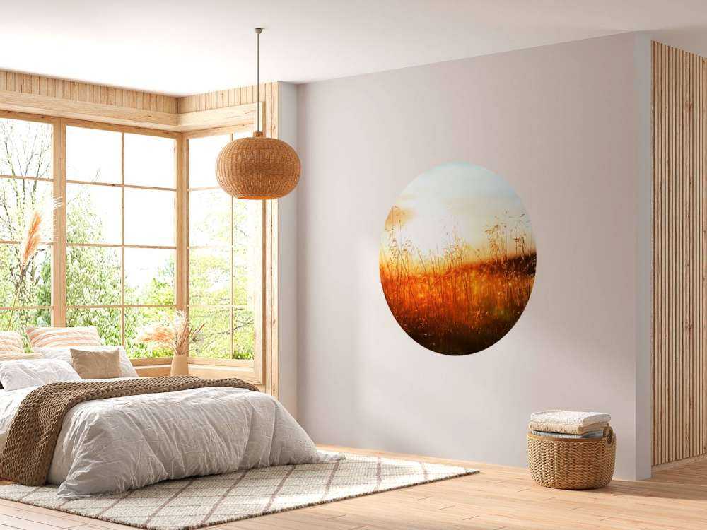 Een zonnige dag op de weide