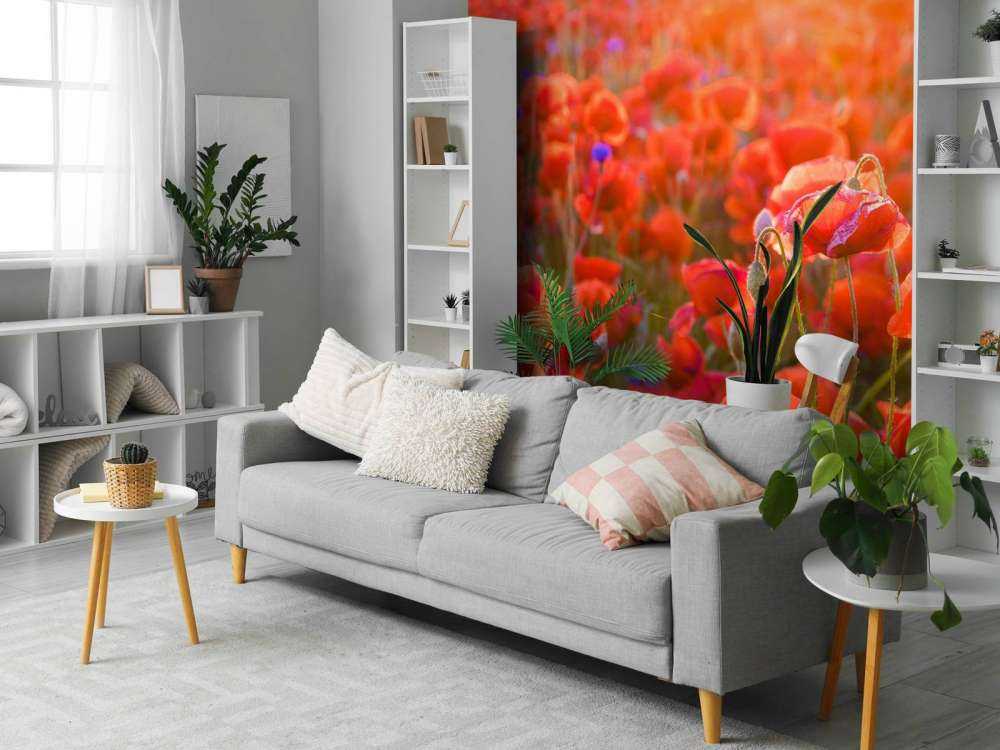 Klaprozen close-up bij zonsondergang