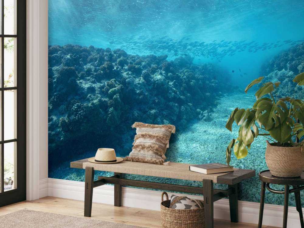 Onderwaterwereld met koraal