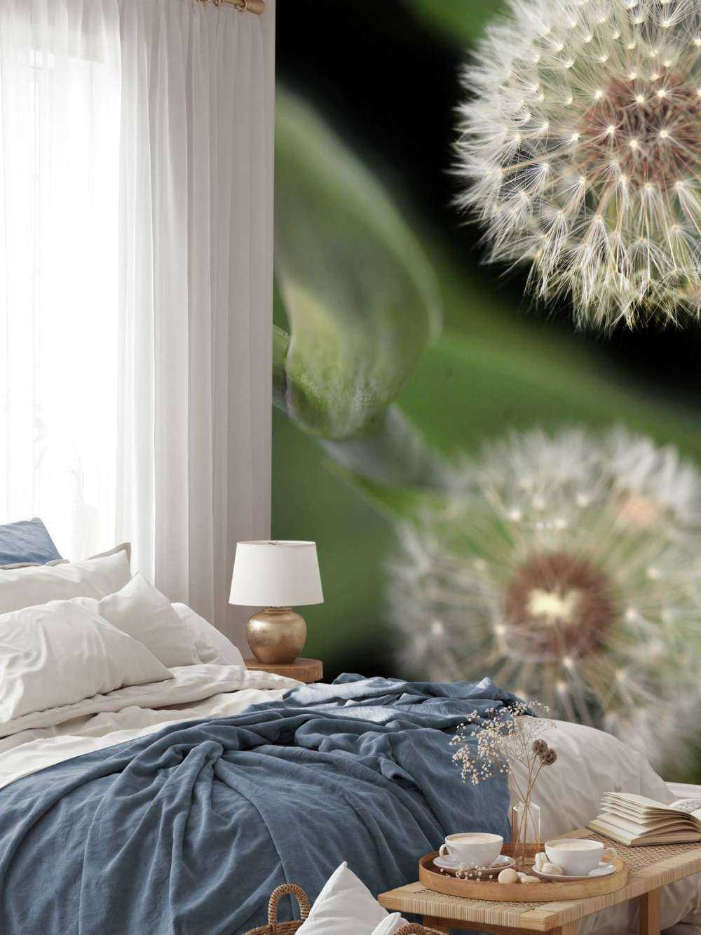 Close-up paardenbloemen