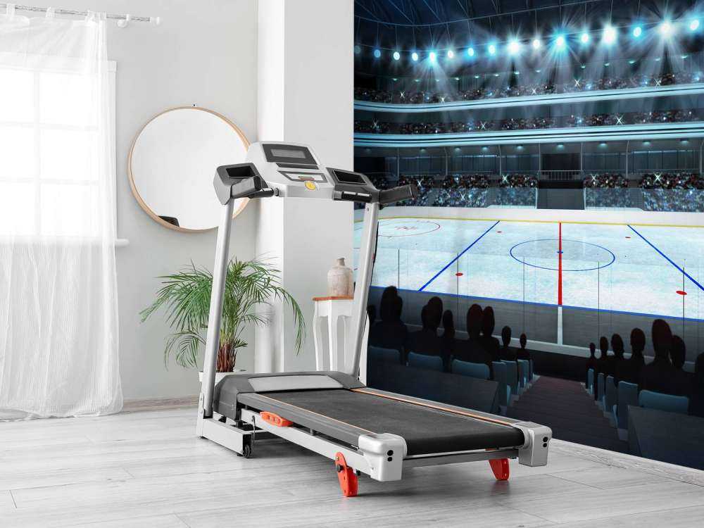 Luxueuze ijshockey arena