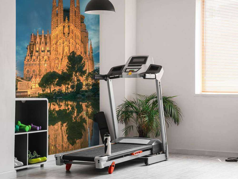 De Sagrada Familia in Barcelona