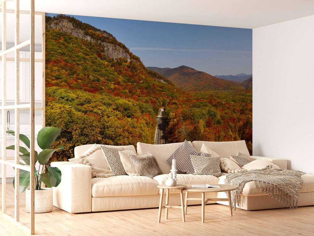 Weg door het herfstlandschap