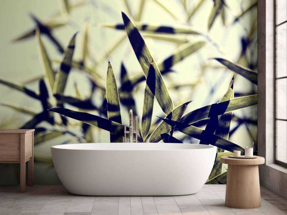 Bamboe bladeren in de zon