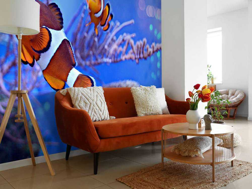 Anemoonvissen in een groot aquarium