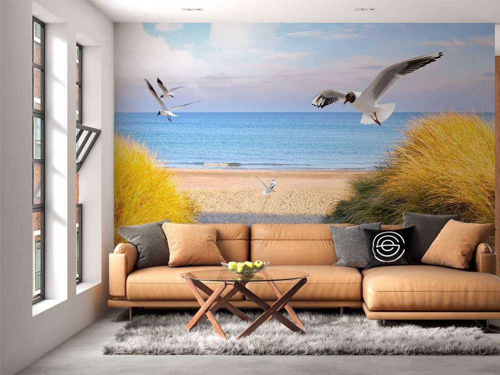 Meeuwen langs de Baltische kust