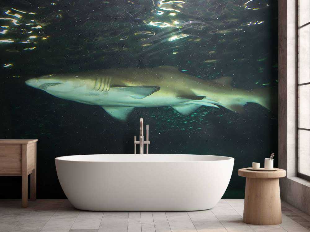 Grote witte haai in een aquarium