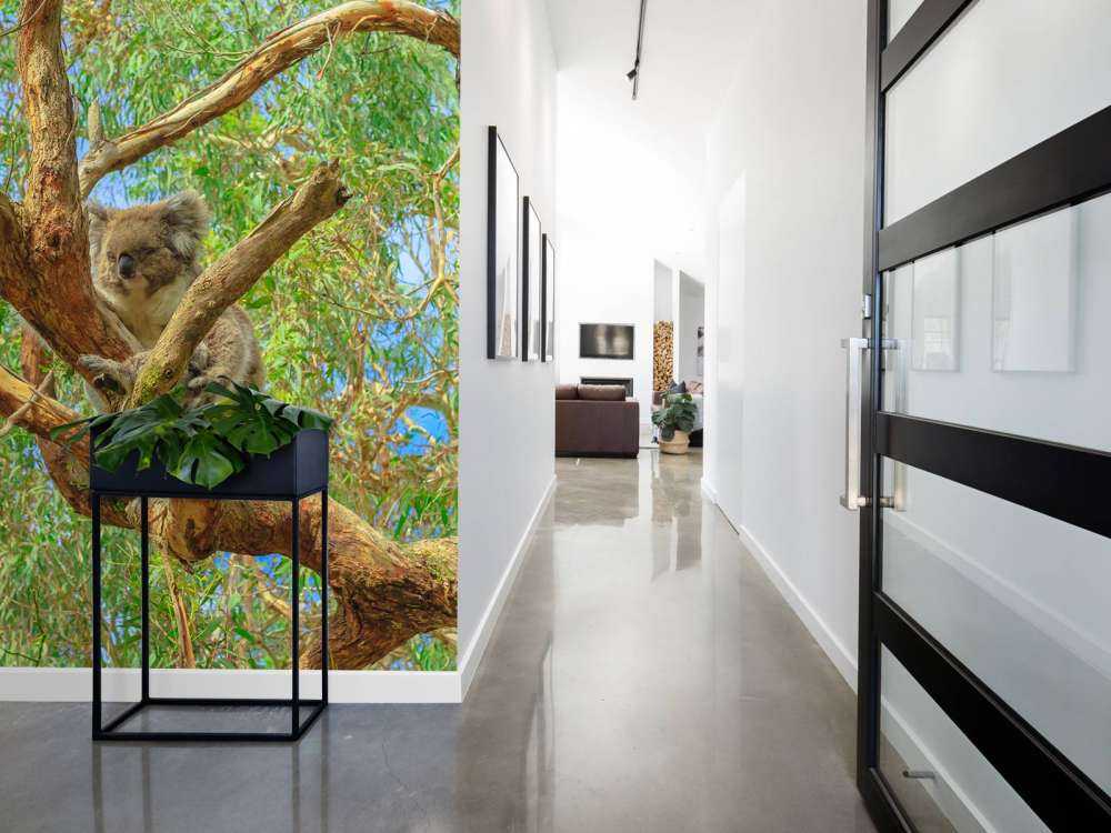 Koala in een Eucalyptus boom