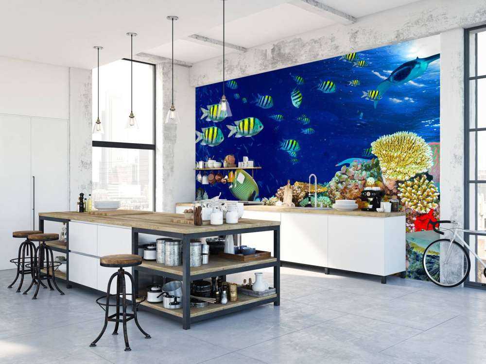 Zeeleven bij een koraalrif