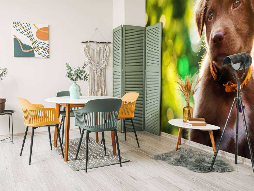 Bruine labrador met een wazige achtergrond