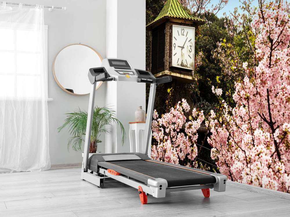 Bloesem met Klok op achtergrond