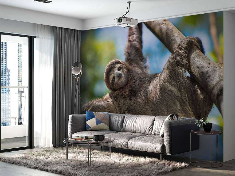 Gelukkige luiaard in het oerwoud