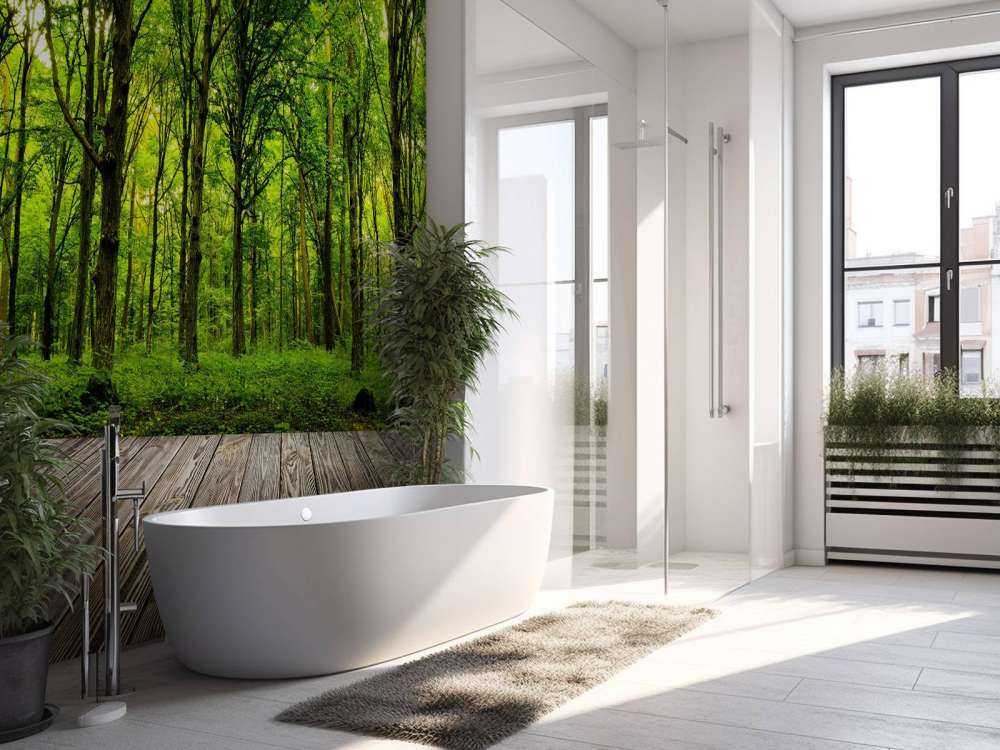 Zomers bos met doorkomend daglicht