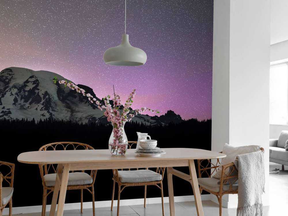 Mount Rainier met noorderlicht