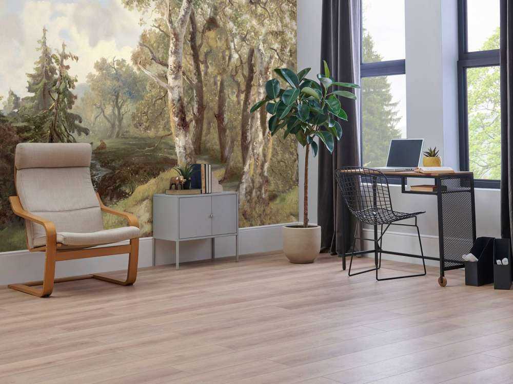 Forest Landscape Color #1