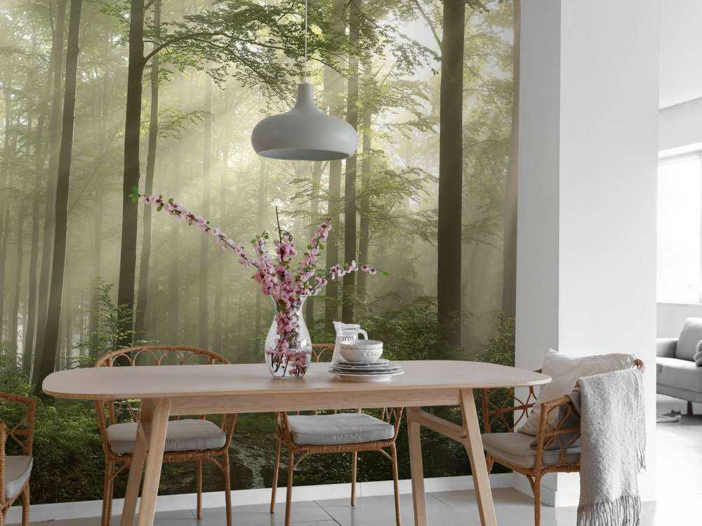 Groen bos in de mist