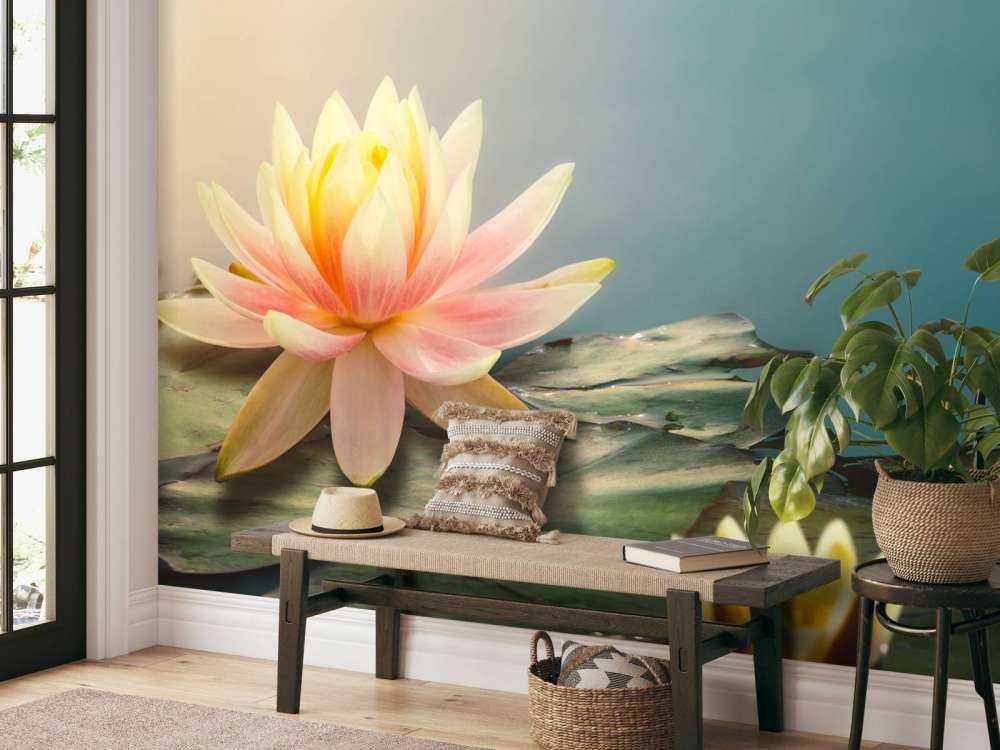 Vijver met lotusbloemen