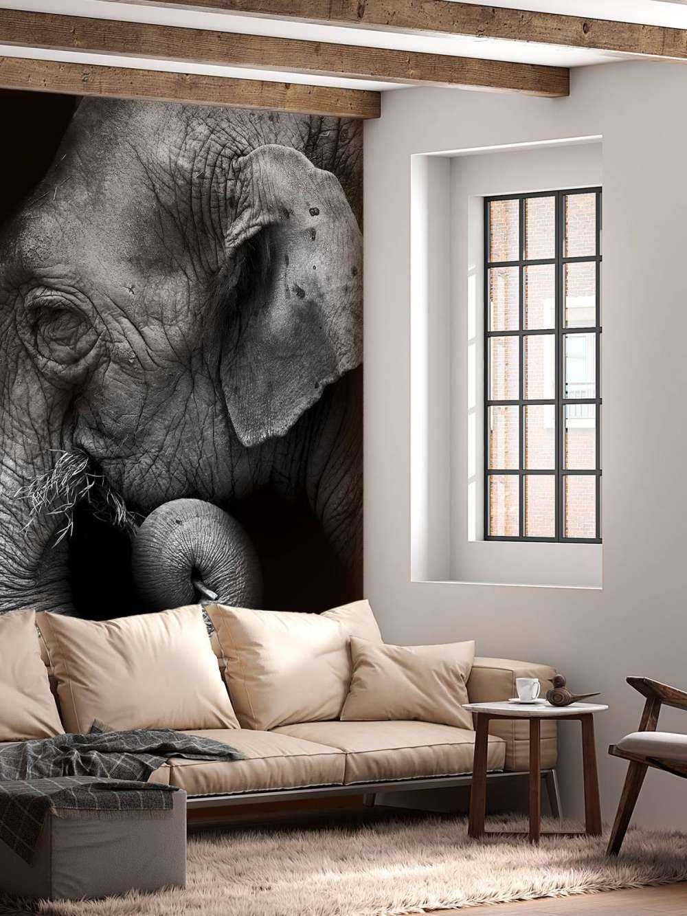 Olifant portret