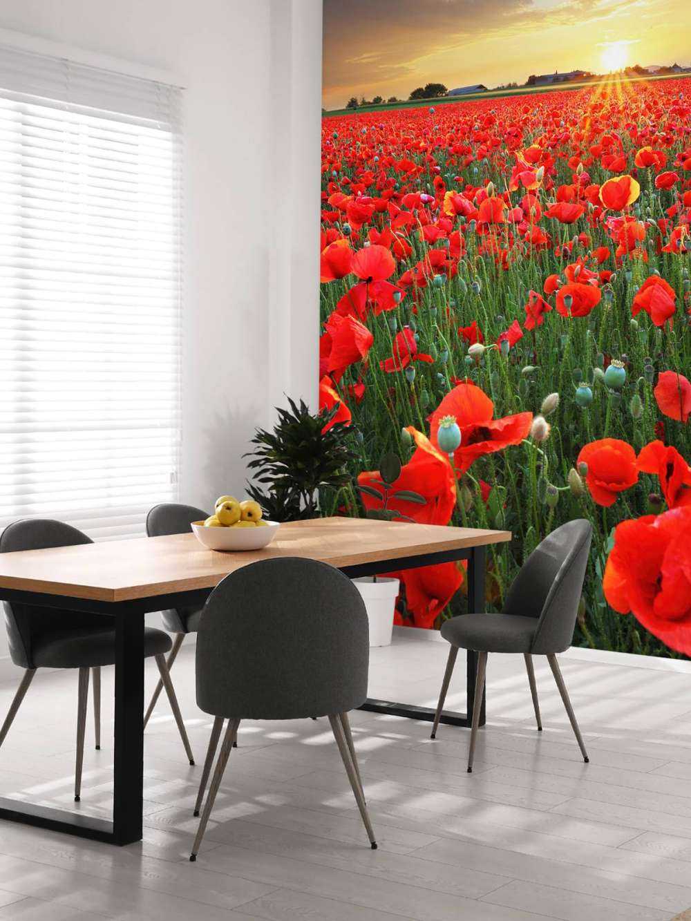 Klaprozen bij ondergaande zon