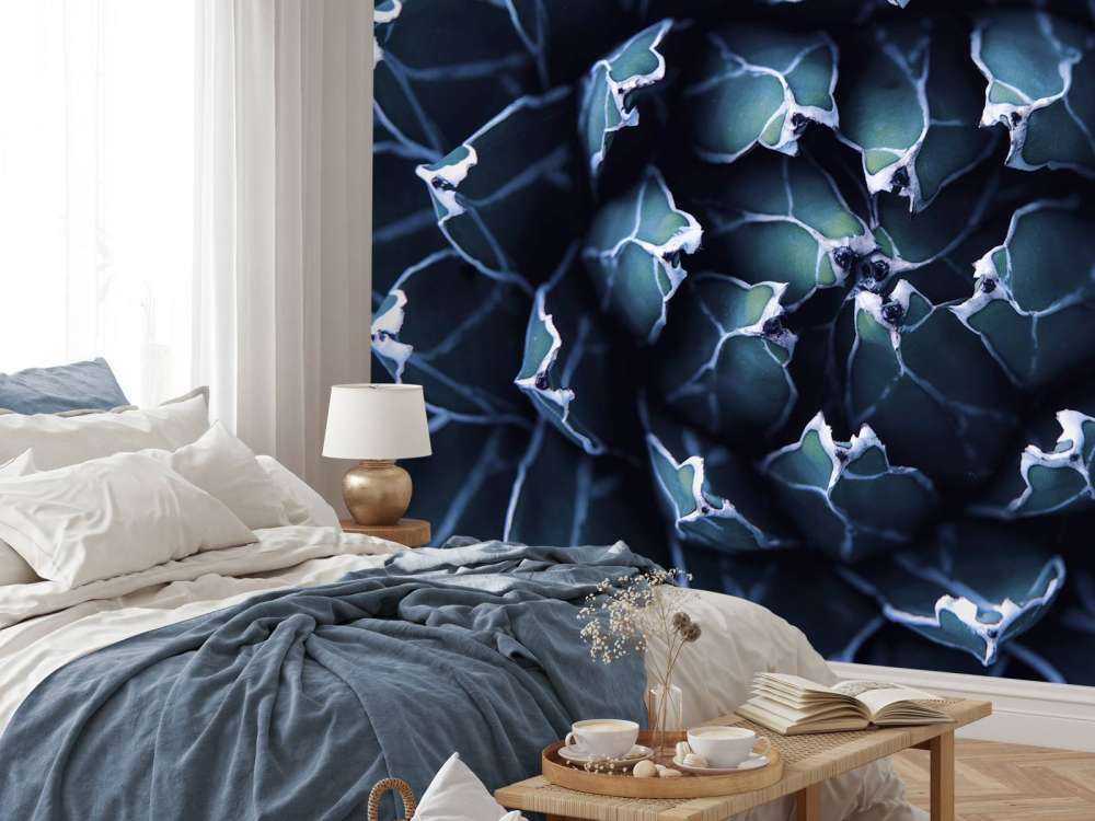 Donkerblauwe vetplant