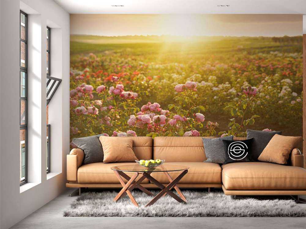 Veld vol rozen