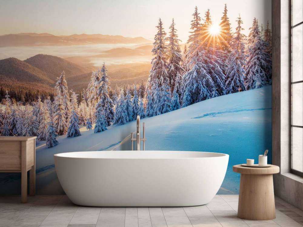 Winterochtend in de bergen