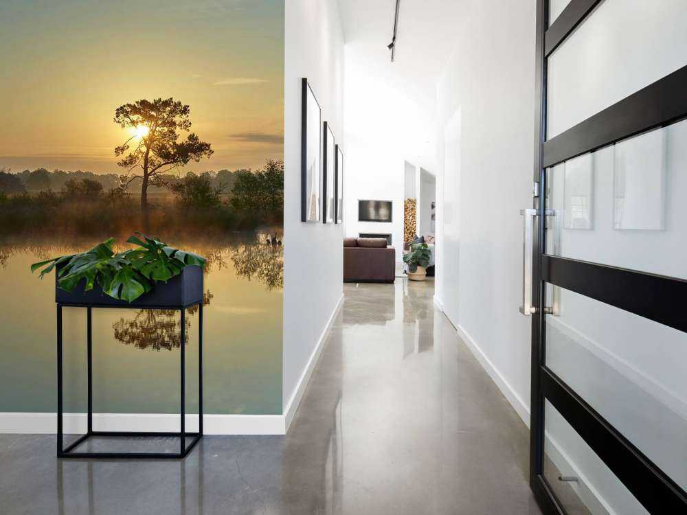 Zonsopkomst bij bosven