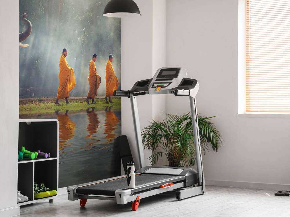 Olifant en boeddhisten