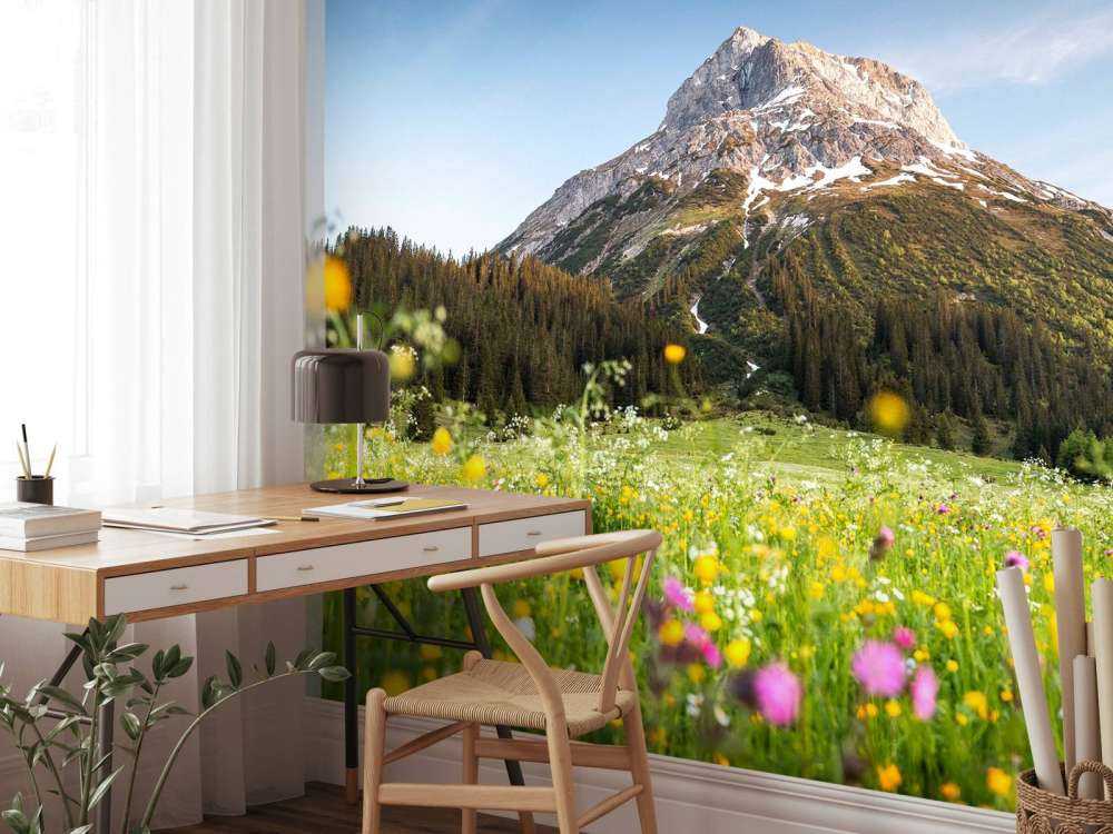 Bergtop boven bloemenweide